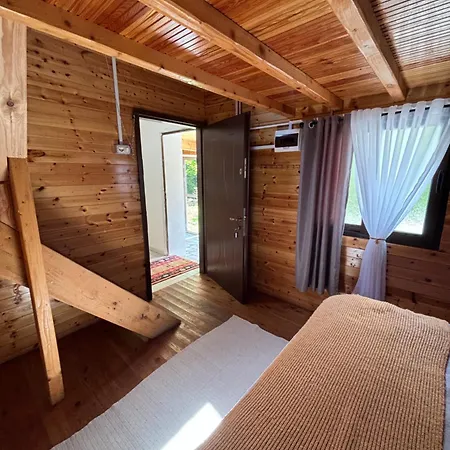 Magic Space Petros Skafias Theth